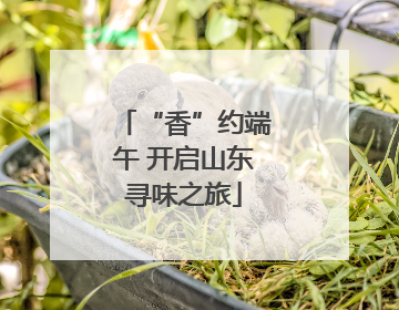 “香”约端午 开启山东寻味之旅