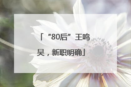 “80后”王鸣昊，新职明确