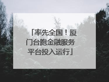 率先全国！厦门台胞金融服务平台投入运行