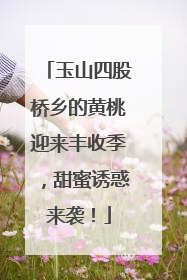 玉山四股桥乡的黄桃迎来丰收季，甜蜜诱惑来袭！
