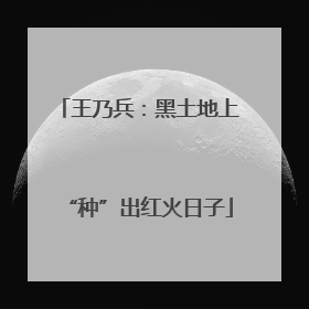 王乃兵：黑土地上“种”出红火日子