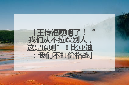 王传福哽咽了！“我们从不拉踩别人，这是原则”！比亚迪：我们不打价格战