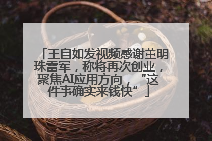 王自如发视频感谢董明珠雷军，称将再次创业，聚焦AI应用方向，“这件事确实来钱快”