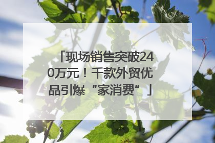 现场销售突破240万元！千款外贸优品引爆“家消费”