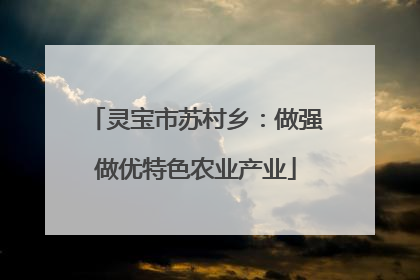 灵宝市苏村乡：做强做优特色农业产业