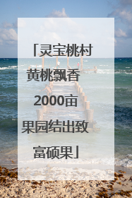灵宝桃村黄桃飘香 2000亩果园结出致富硕果