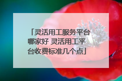 灵活用工服务平台哪家好 灵活用工平台收费标准几个点