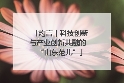 灼言｜科技创新与产业创新共融的“山东范儿”