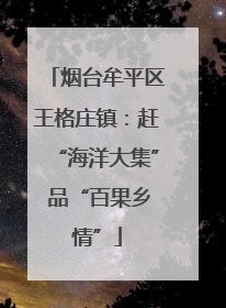 烟台牟平区王格庄镇：赶“海洋大集” 品“百果乡情”
