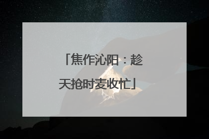 焦作沁阳：趁天抢时麦收忙