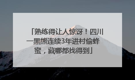 熟练得让人惊讶！四川一黑熊连续3年进村偷蜂蜜，藏哪都找得到