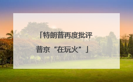 特朗普再度批评普京“在玩火”
