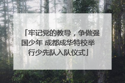 牢记党的教导，争做强国少年 成都成华特校举行少先队入队仪式