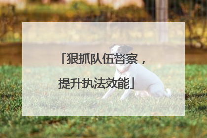 狠抓队伍督察，提升执法效能