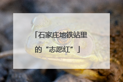 石家庄地铁站里的“志愿红”