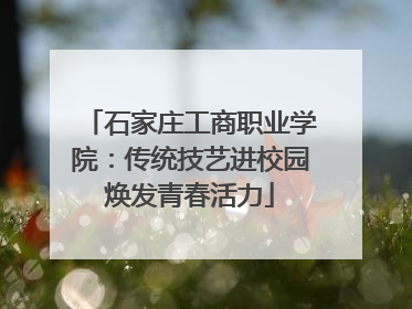石家庄工商职业学院：传统技艺进校园焕发青春活力