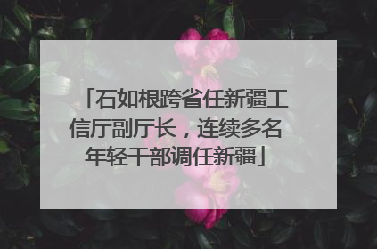 石如根跨省任新疆工信厅副厅长，连续多名年轻干部调任新疆