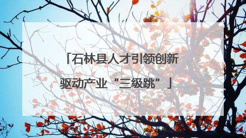 石林县人才引领创新驱动产业“三级跳”