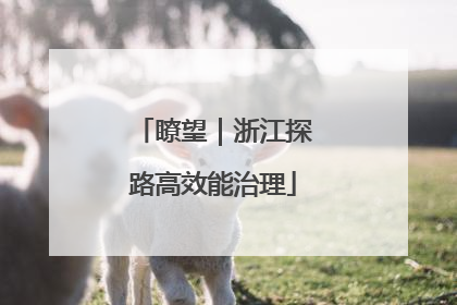 瞭望｜浙江探路高效能治理