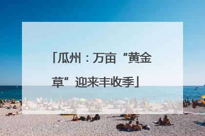 瓜州：万亩“黄金草”迎来丰收季
