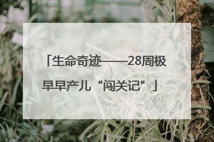生命奇迹——28周极早早产儿“闯关记”