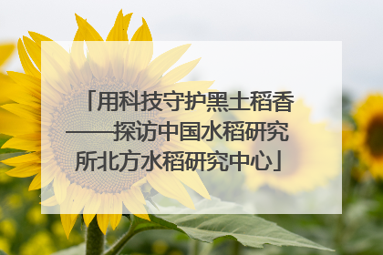用科技守护黑土稻香——探访中国水稻研究所北方水稻研究中心