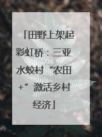 田野上架起彩虹桥：三亚水蛟村“农田+”激活乡村经济