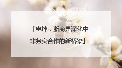 申坤：浙商是深化中非务实合作的新桥梁