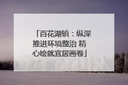 百花湖镇：纵深推进环境整治 精心绘就宜居画卷