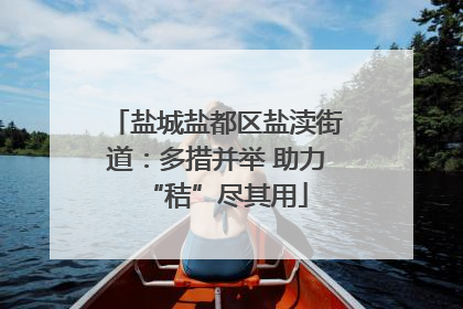 盐城盐都区盐渎街道：多措并举 助力“秸”尽其用