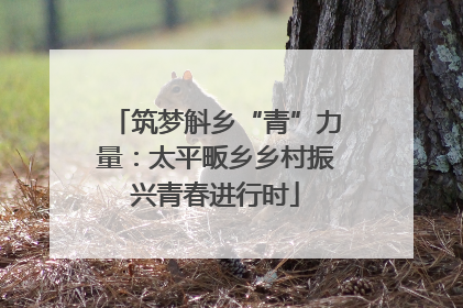 筑梦斛乡“青”力量：太平畈乡乡村振兴青春进行时