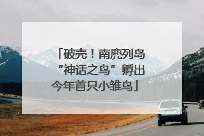 破壳！南麂列岛“神话之鸟”孵出今年首只小雏鸟
