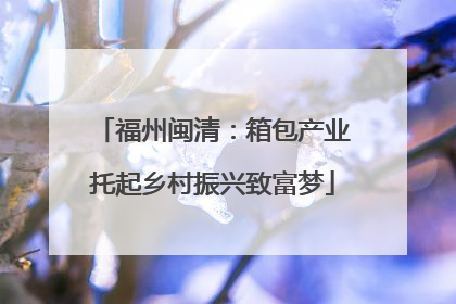 福州闽清：箱包产业托起乡村振兴致富梦