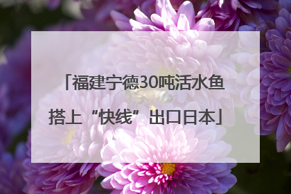 福建宁德30吨活水鱼搭上“快线”出口日本