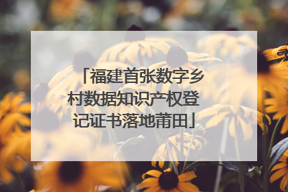 福建首张数字乡村数据知识产权登记证书落地莆田