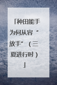 种田能手为何从容“放手”（三夏进行时）
