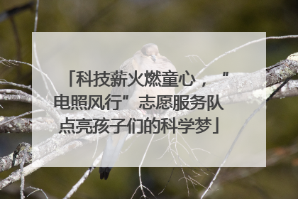 科技薪火燃童心，“电照风行”志愿服务队点亮孩子们的科学梦