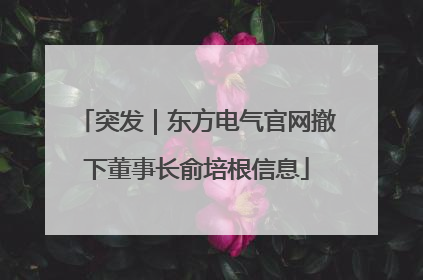 突发｜东方电气官网撤下董事长俞培根信息