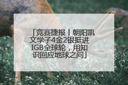 竞赛捷报丨朝阳凯文学子4金2银挺进IGB全球轮，用知识回应地球之问