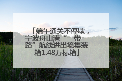 端午通关不停歇，宁波舟山港“一带一路”航线进出境集装箱1.48万标箱