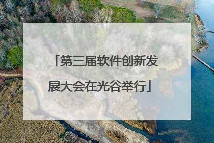 第三届软件创新发展大会在光谷举行