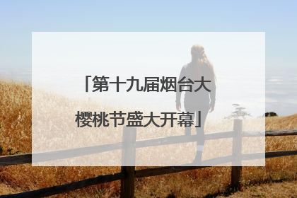 第十九届烟台大樱桃节盛大开幕