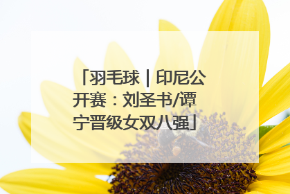 羽毛球｜印尼公开赛：刘圣书/谭宁晋级女双八强