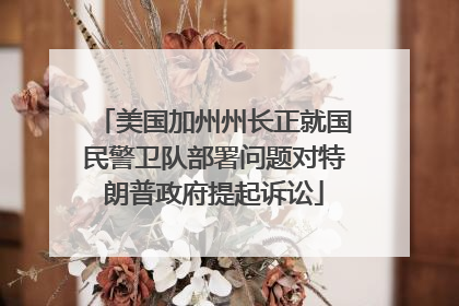 美国加州州长正就国民警卫队部署问题对特朗普政府提起诉讼