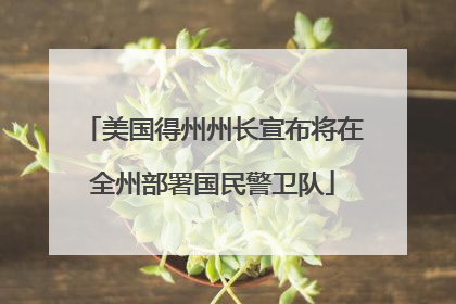 美国得州州长宣布将在全州部署国民警卫队