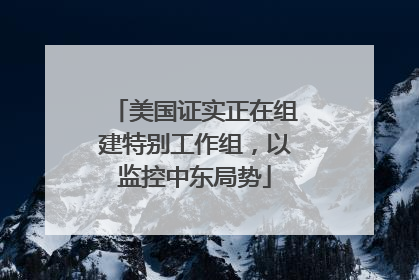 美国证实正在组建特别工作组，以监控中东局势