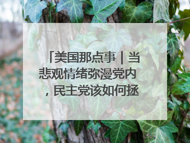 美国那点事｜当悲观情绪弥漫党内，民主党该如何拯救自己？