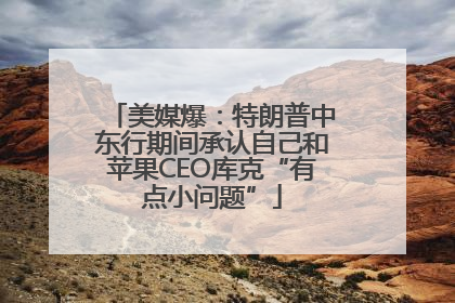 美媒爆：特朗普中东行期间承认自己和苹果CEO库克“有点小问题”