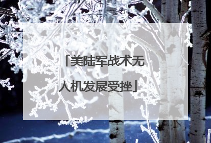 美陆军战术无人机发展受挫