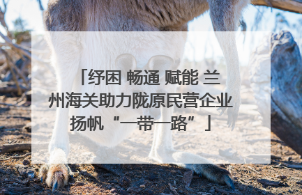 纾困 畅通 赋能 兰州海关助力陇原民营企业扬帆“一带一路”